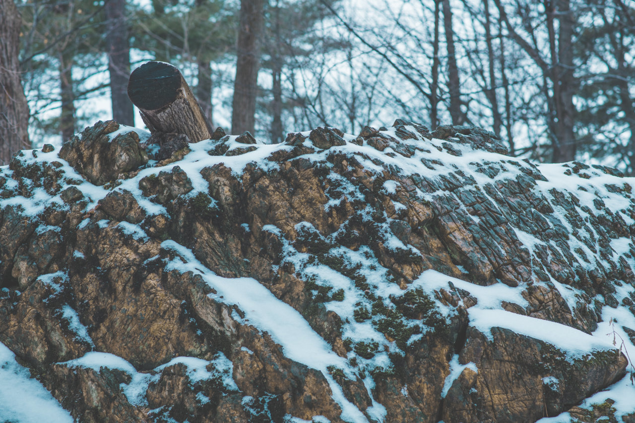 DSC_3542.jpg