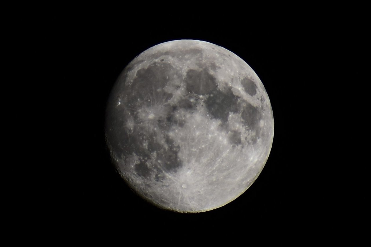 DSC_3932.jpg