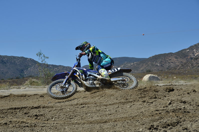 DSC_3937.jpg