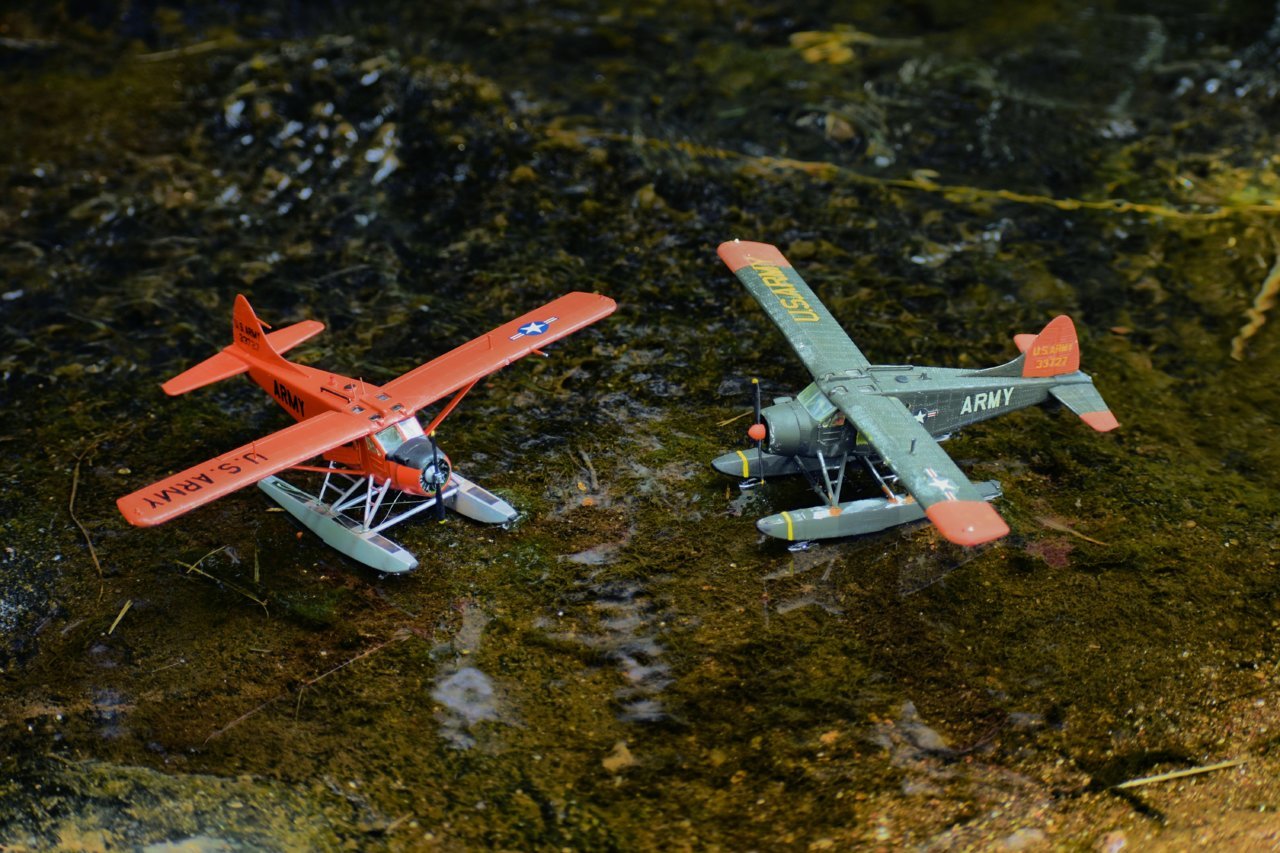 DSC_4178.jpg