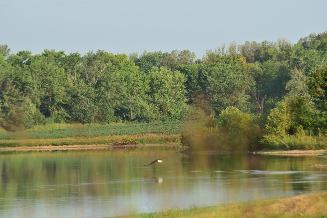 DSC_4314.jpg