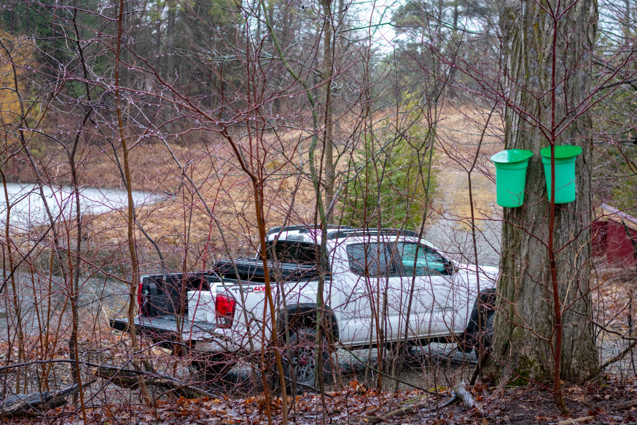 DSC_4422.jpg