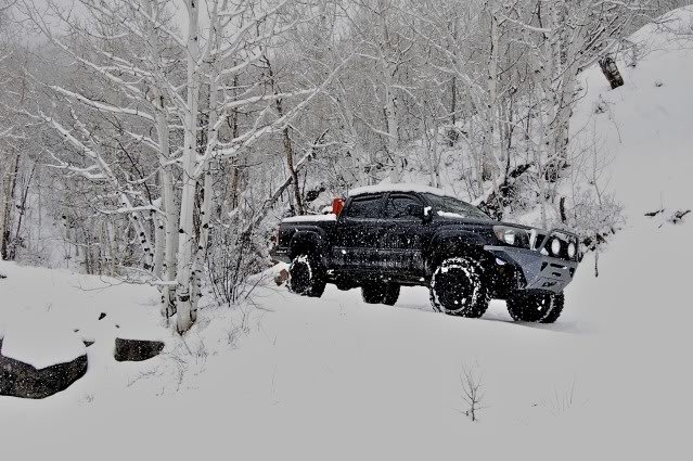 DSC_4592_ad94ccfe722c7bb0ebe4f0b1d34982273fa1ee75.jpg