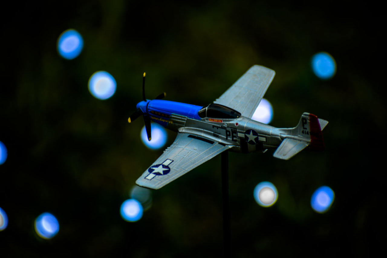 DSC_4739.jpg