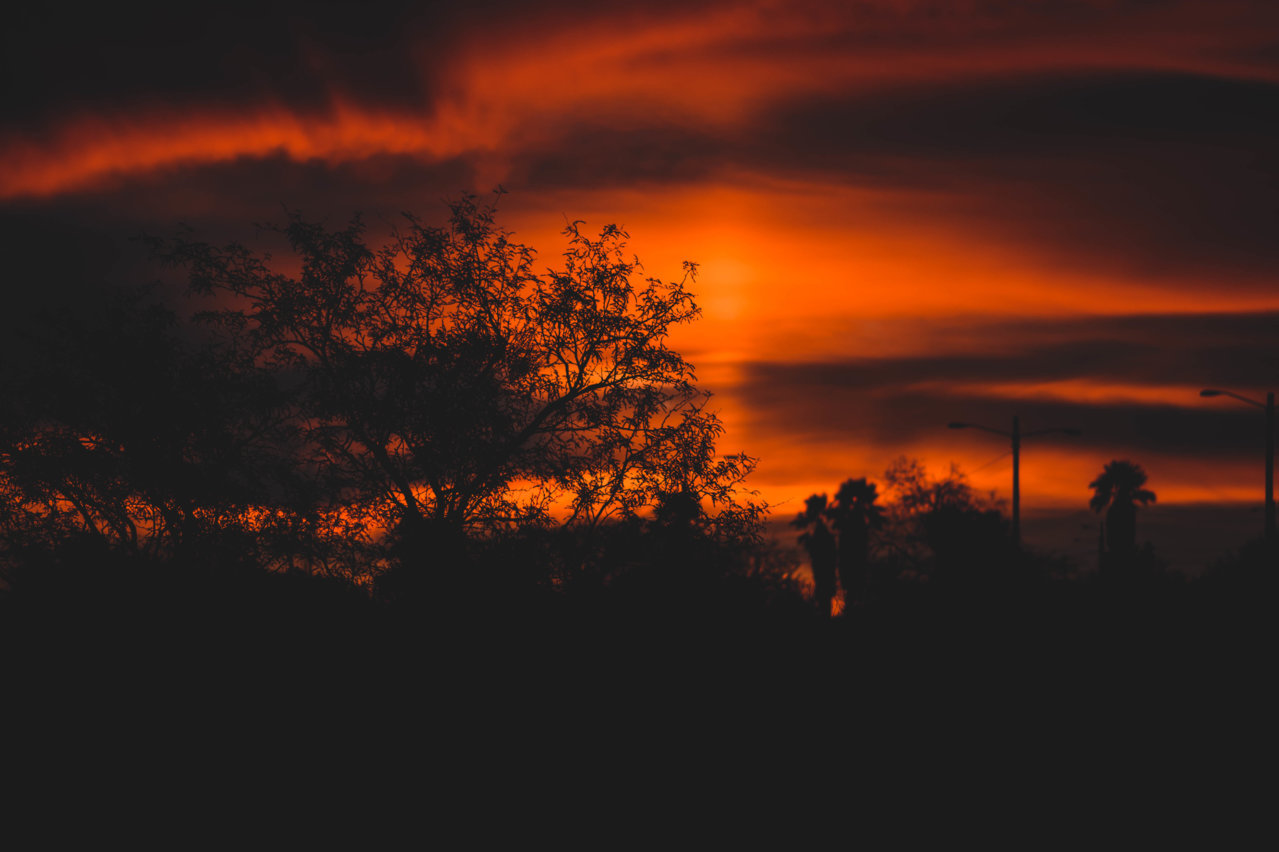 DSC_4849.jpg