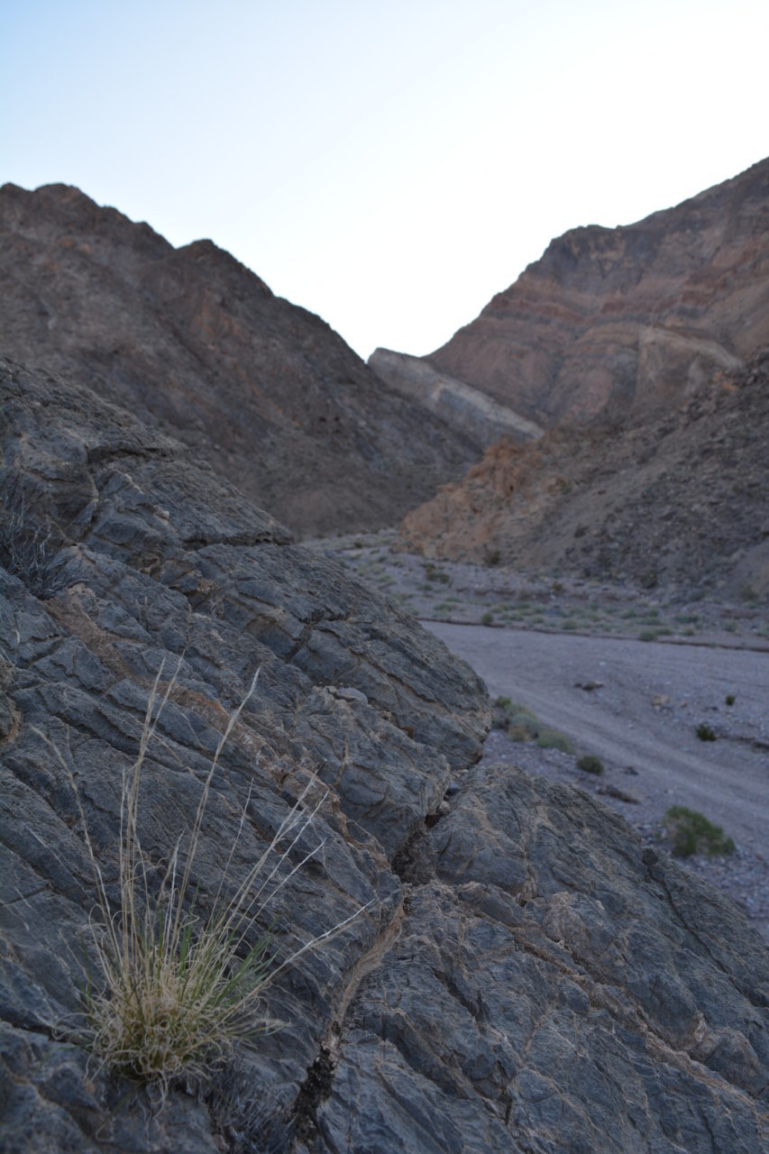 DSC_4911.jpg