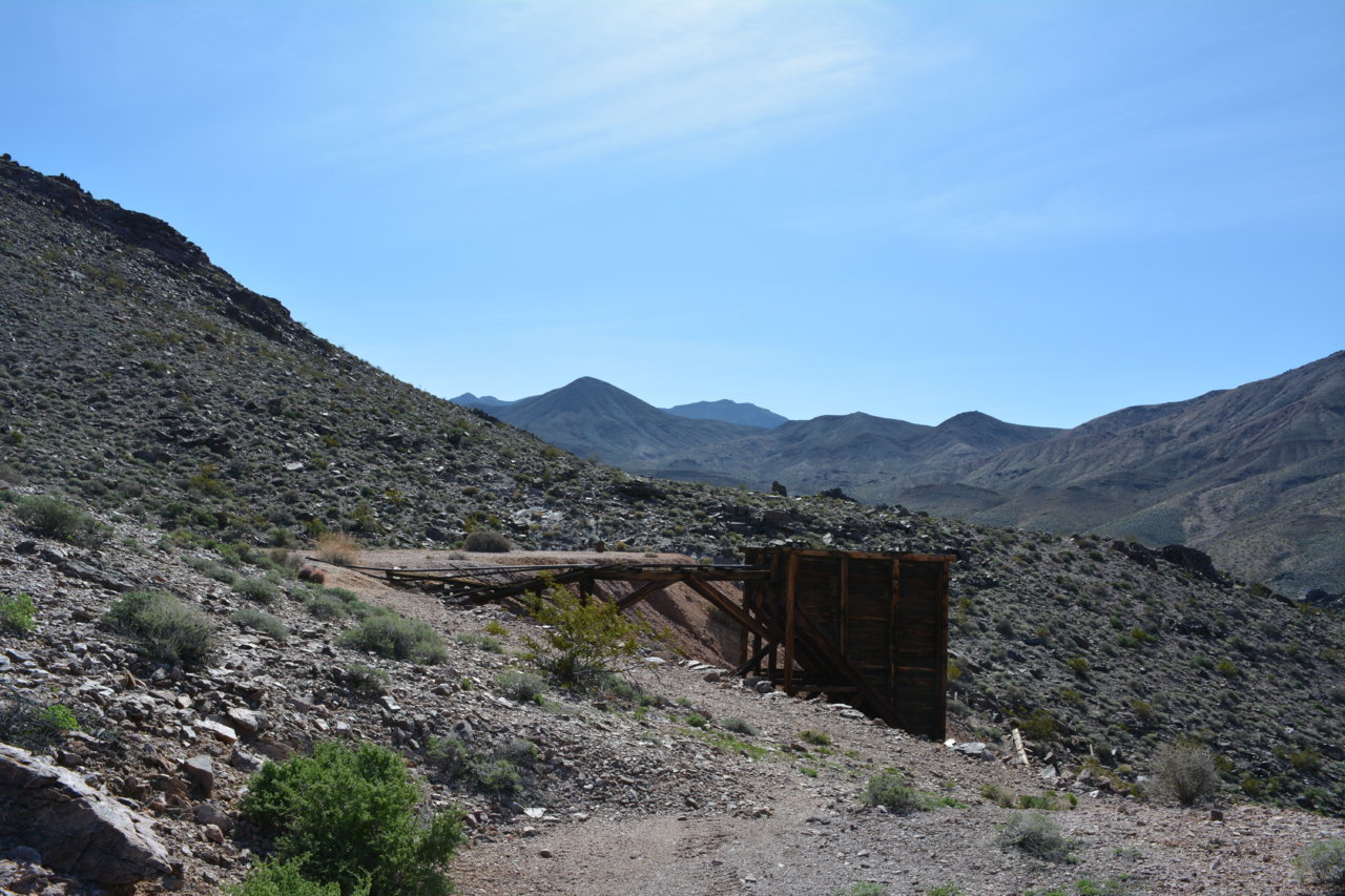 DSC_4951.jpg