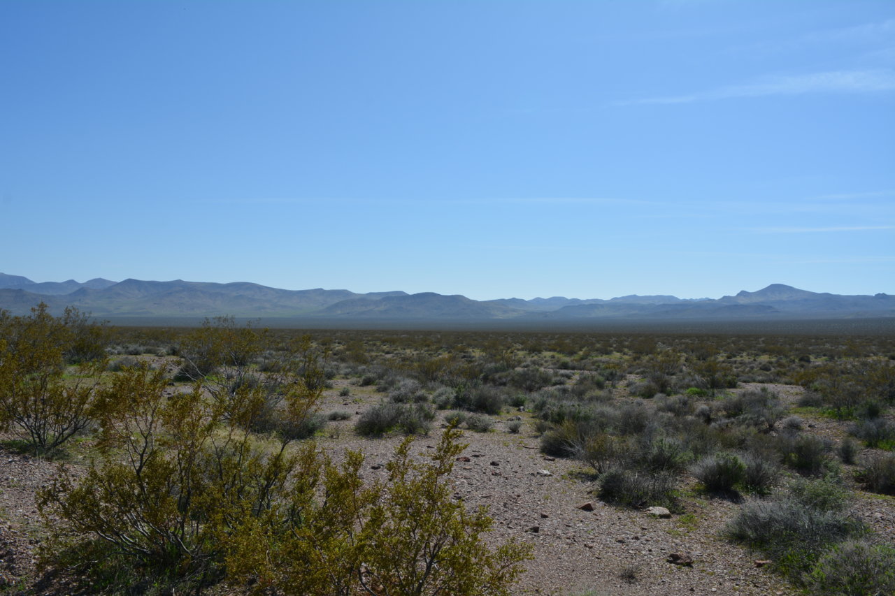 DSC_5018.jpg