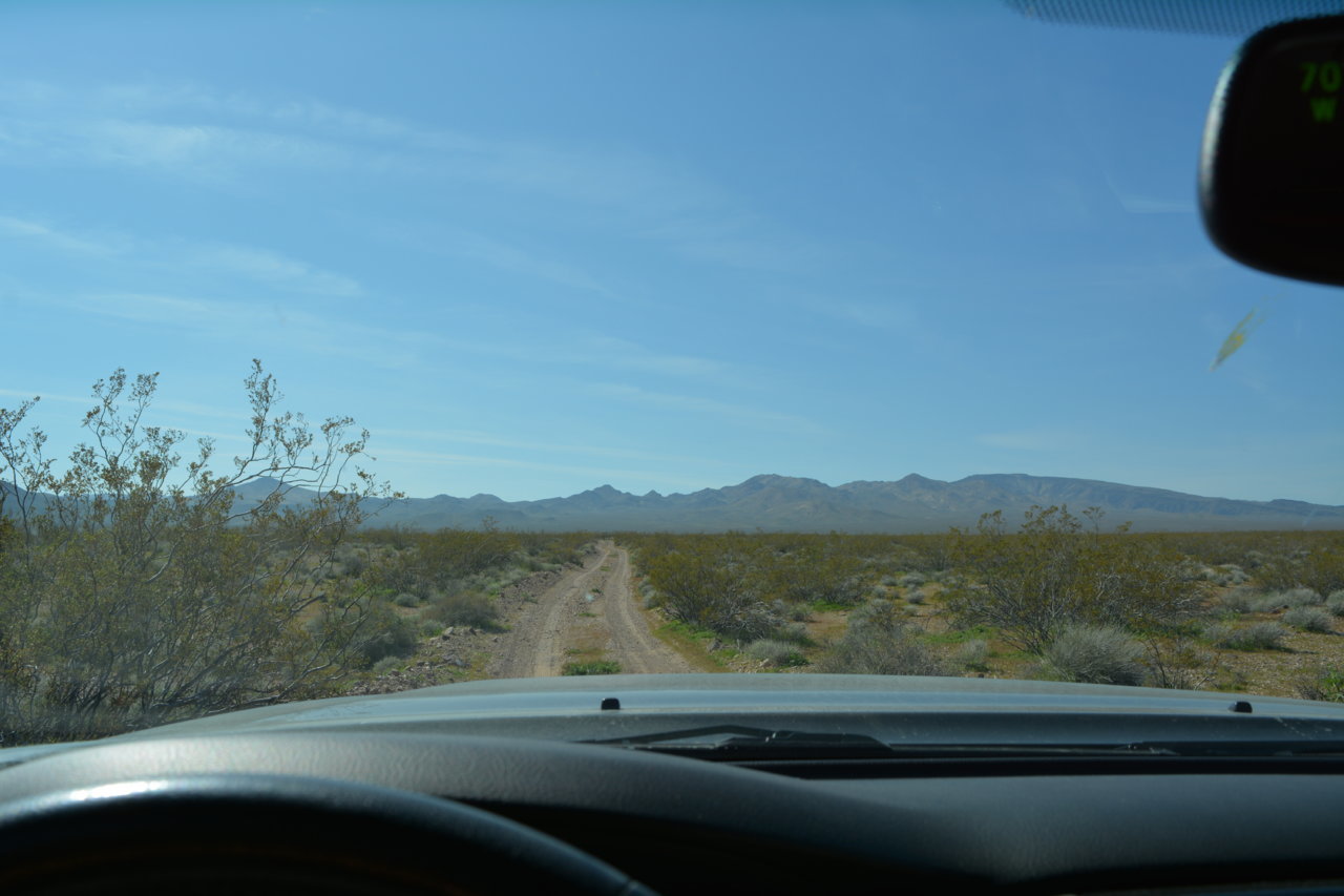 DSC_5024.jpg