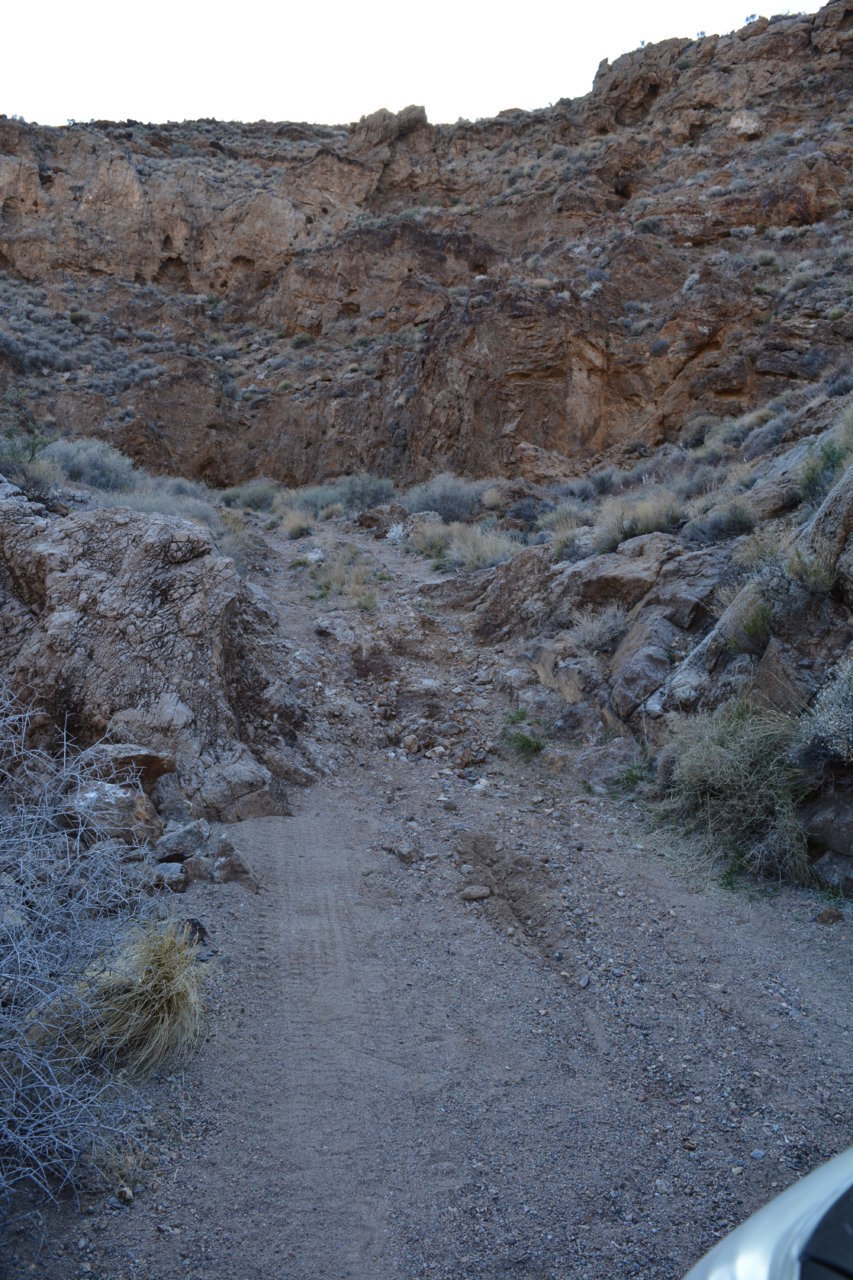 DSC_5047.jpg
