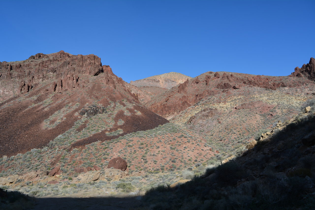 DSC_5049.jpg