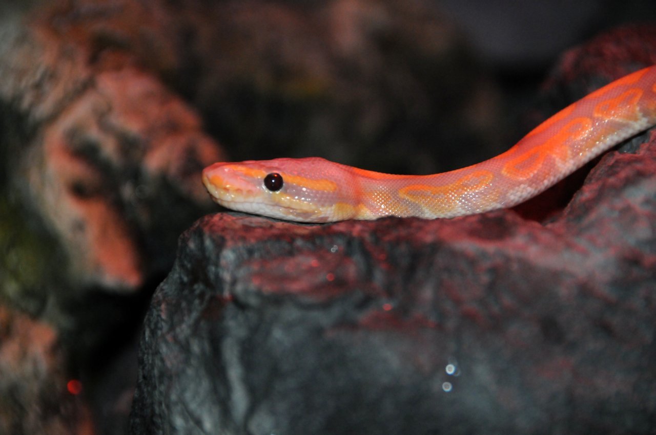 DSC_5327.jpg