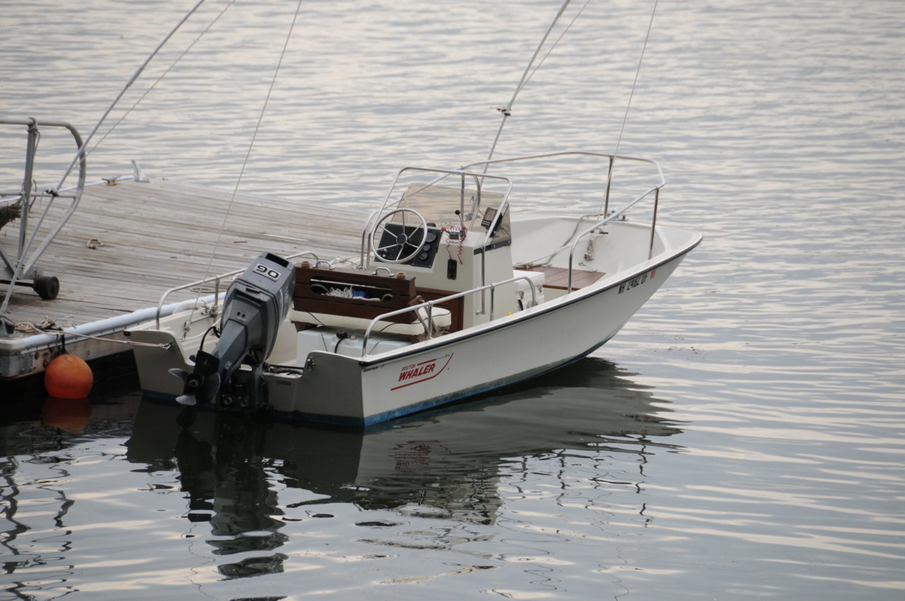DSC_5536.jpg