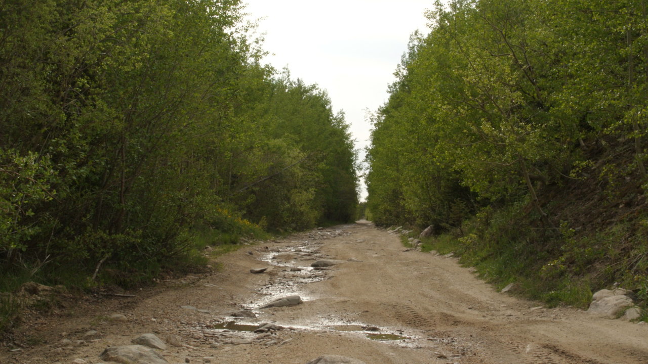 DSC_5666.jpg