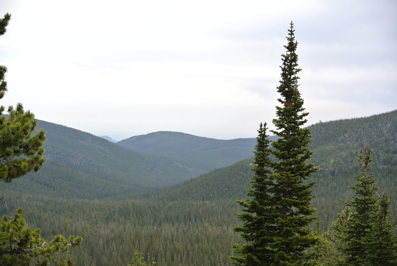 DSC_5669.jpg