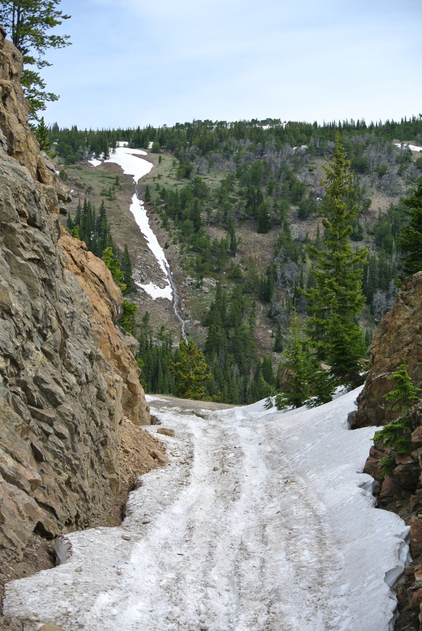 DSC_5674.jpg
