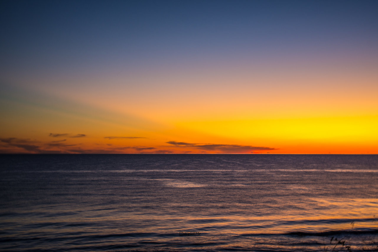 DSC_5681.jpg