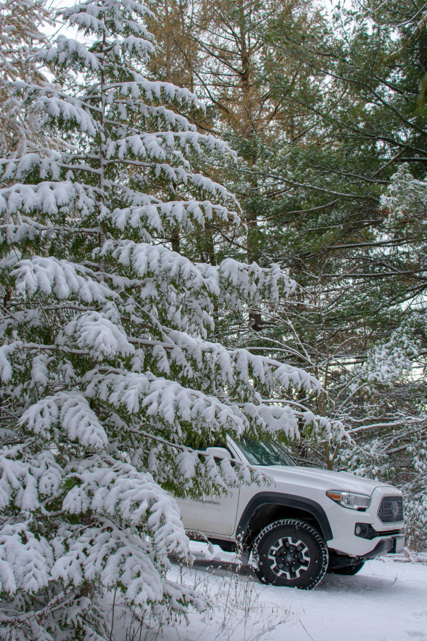 DSC_5688.jpg