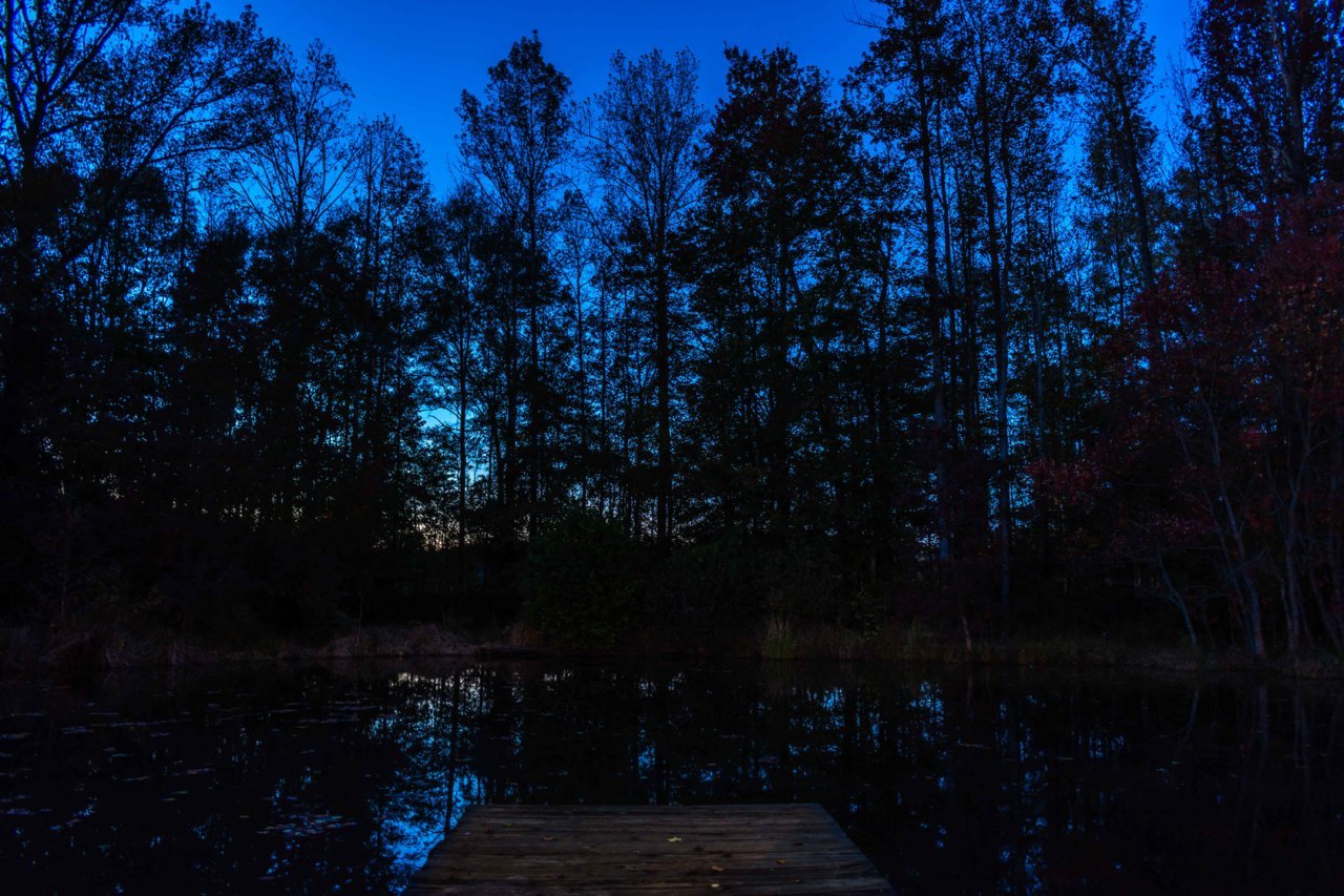 DSC_5831.jpg