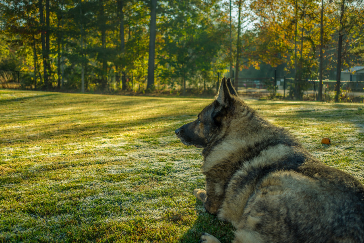 DSC_5856.jpg