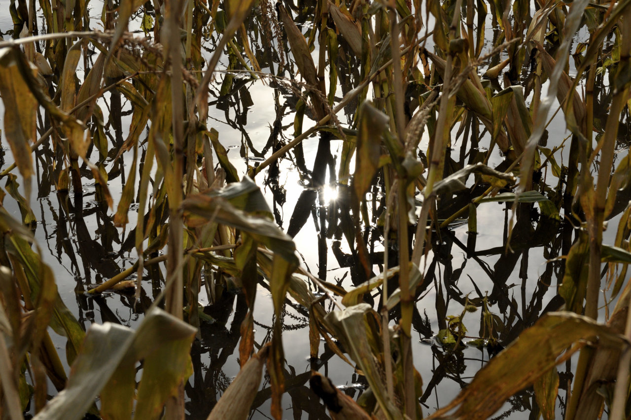 DSC_5976.jpg