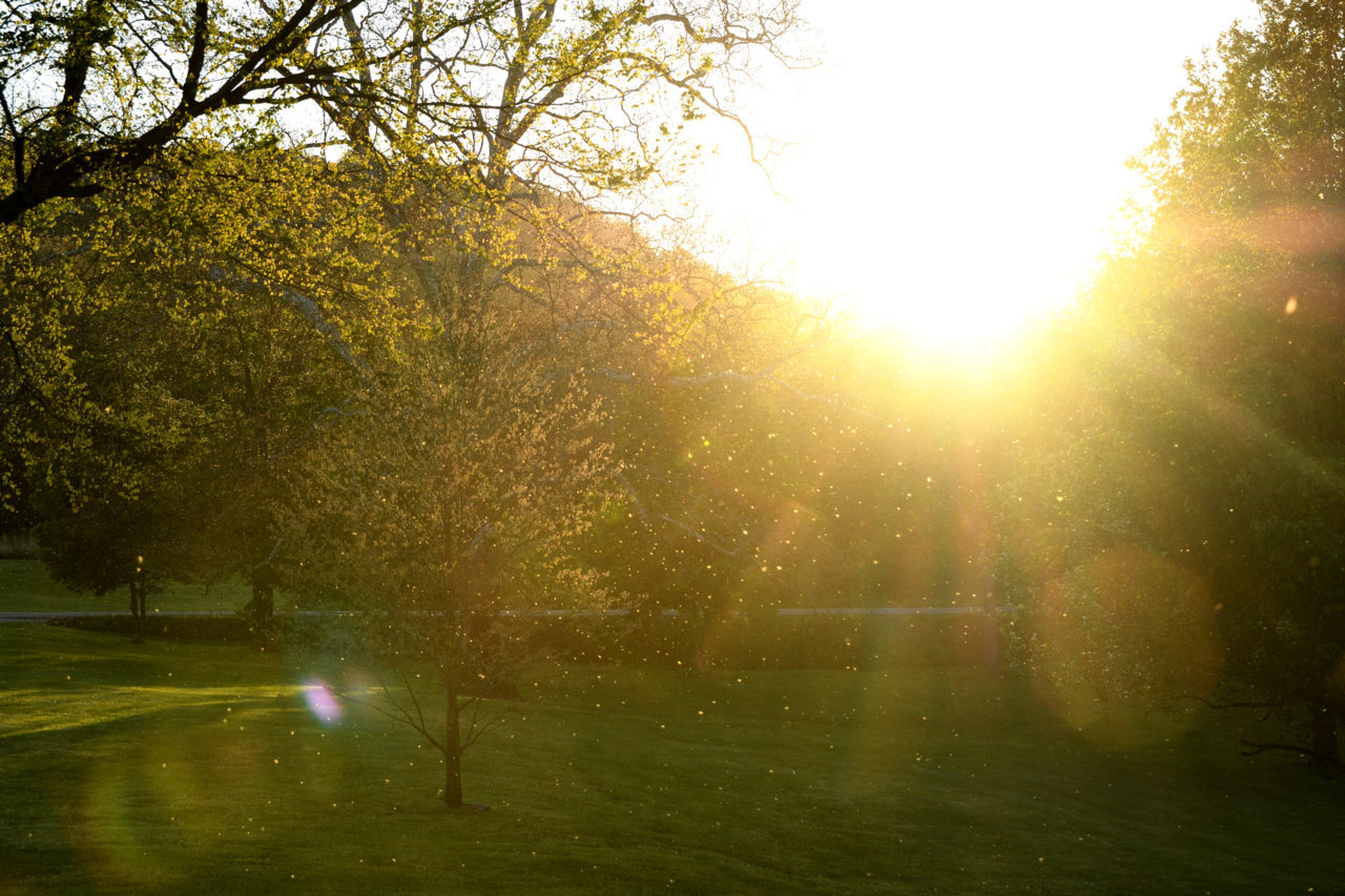 DSC_6073_edit.jpg