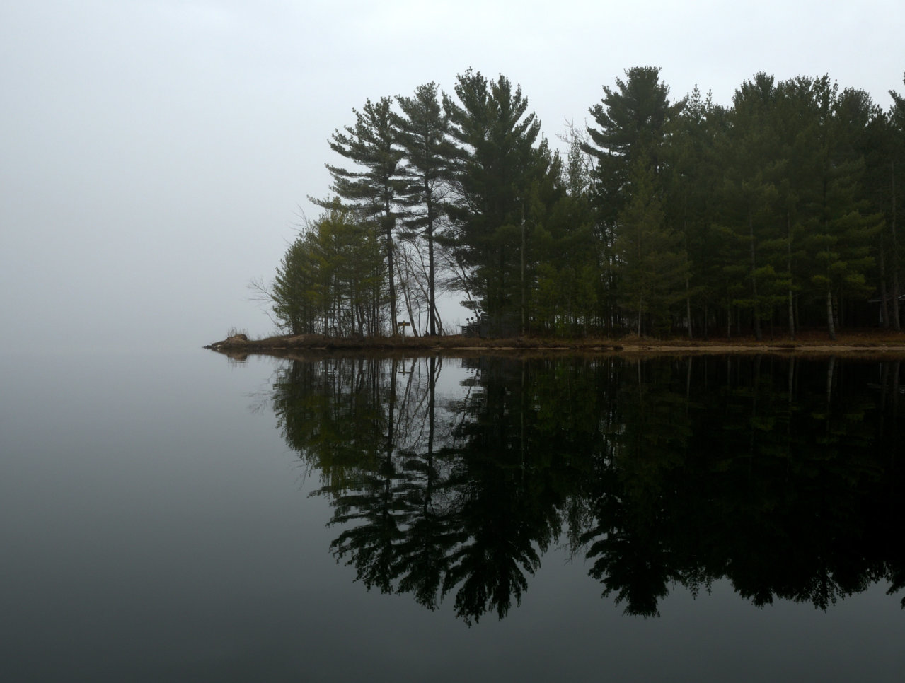 DSC_6122_half.jpg