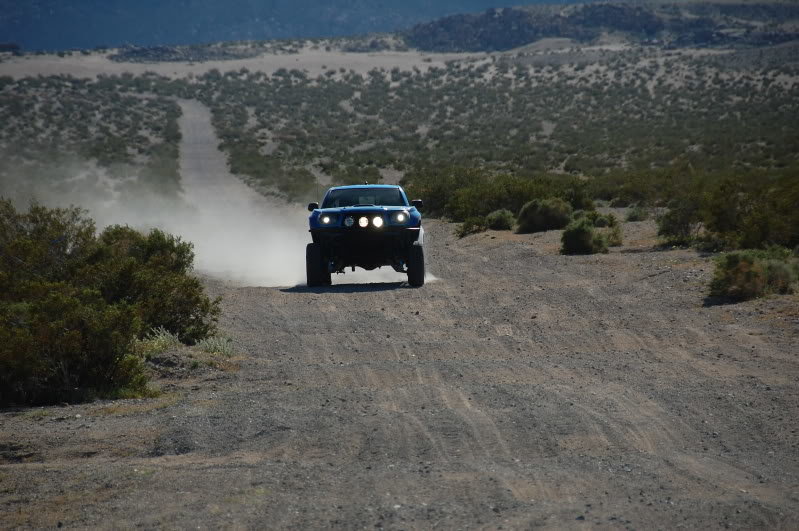 DSC_6181_9bfc6b25dbadfe73f80951bd859ec64988add4cb.jpg