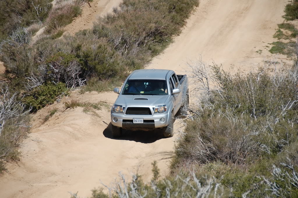 DSC_6481_98926328fba5e7019c1a62895f104af4c4354066.jpg