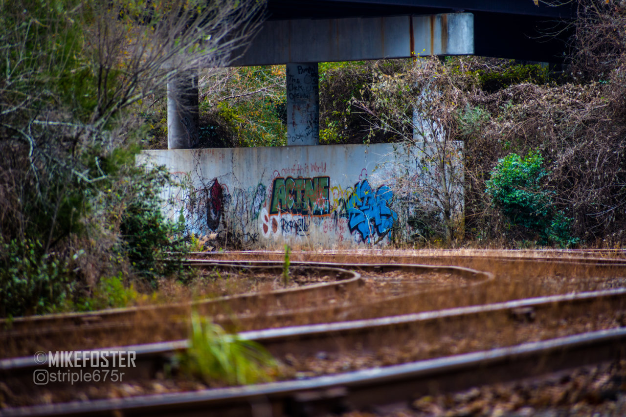 DSC_6532.jpg