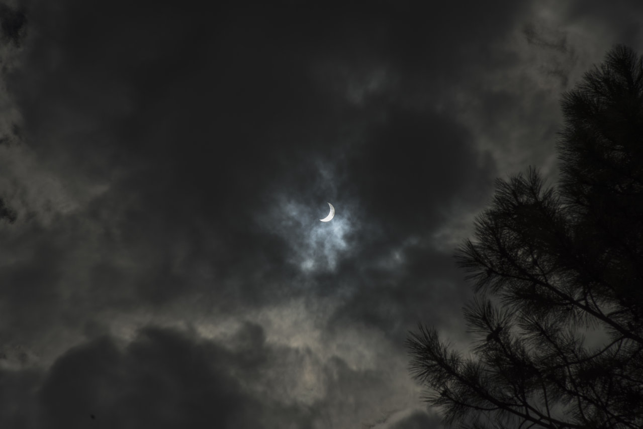 DSC_6533.jpg