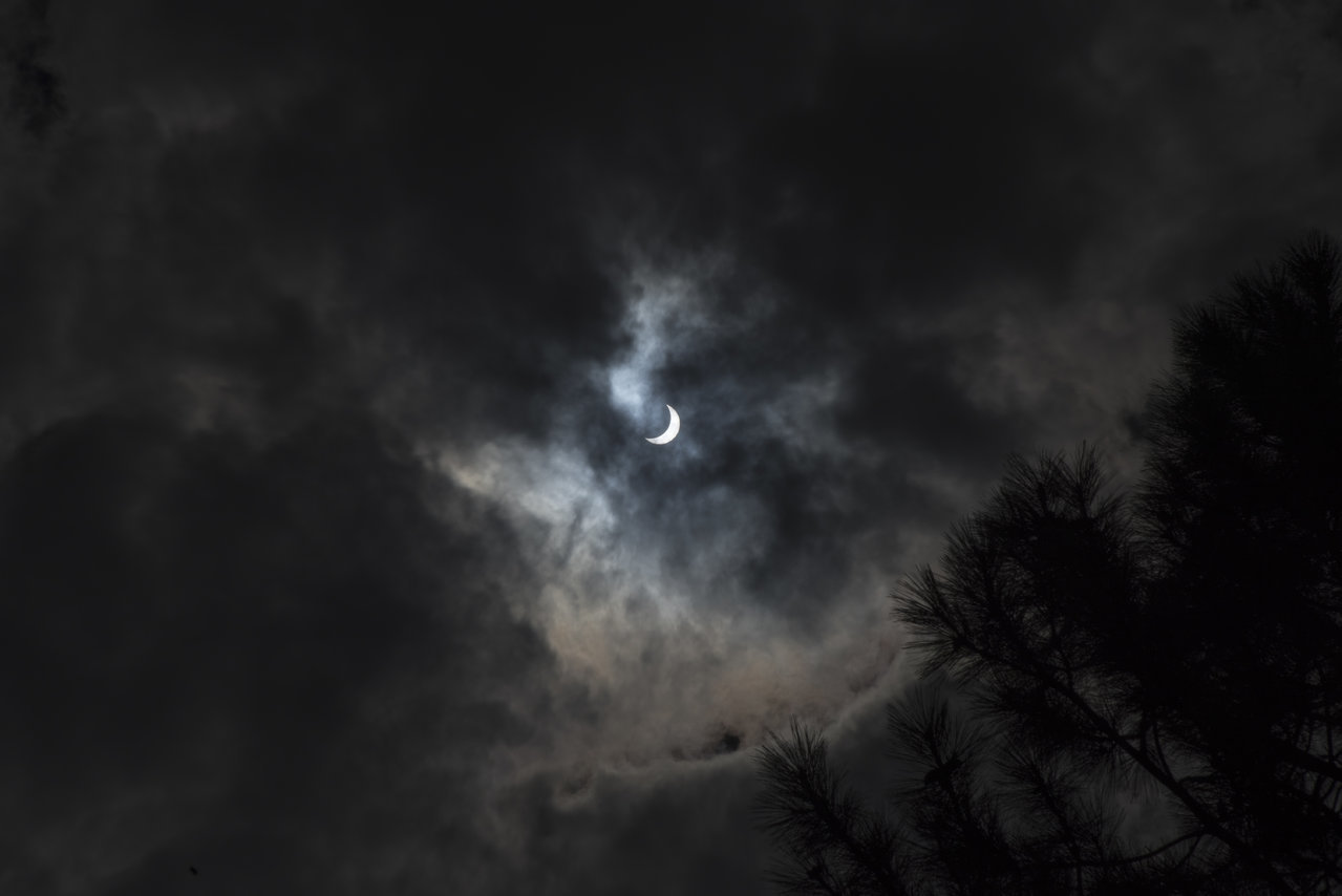 DSC_6538.jpg