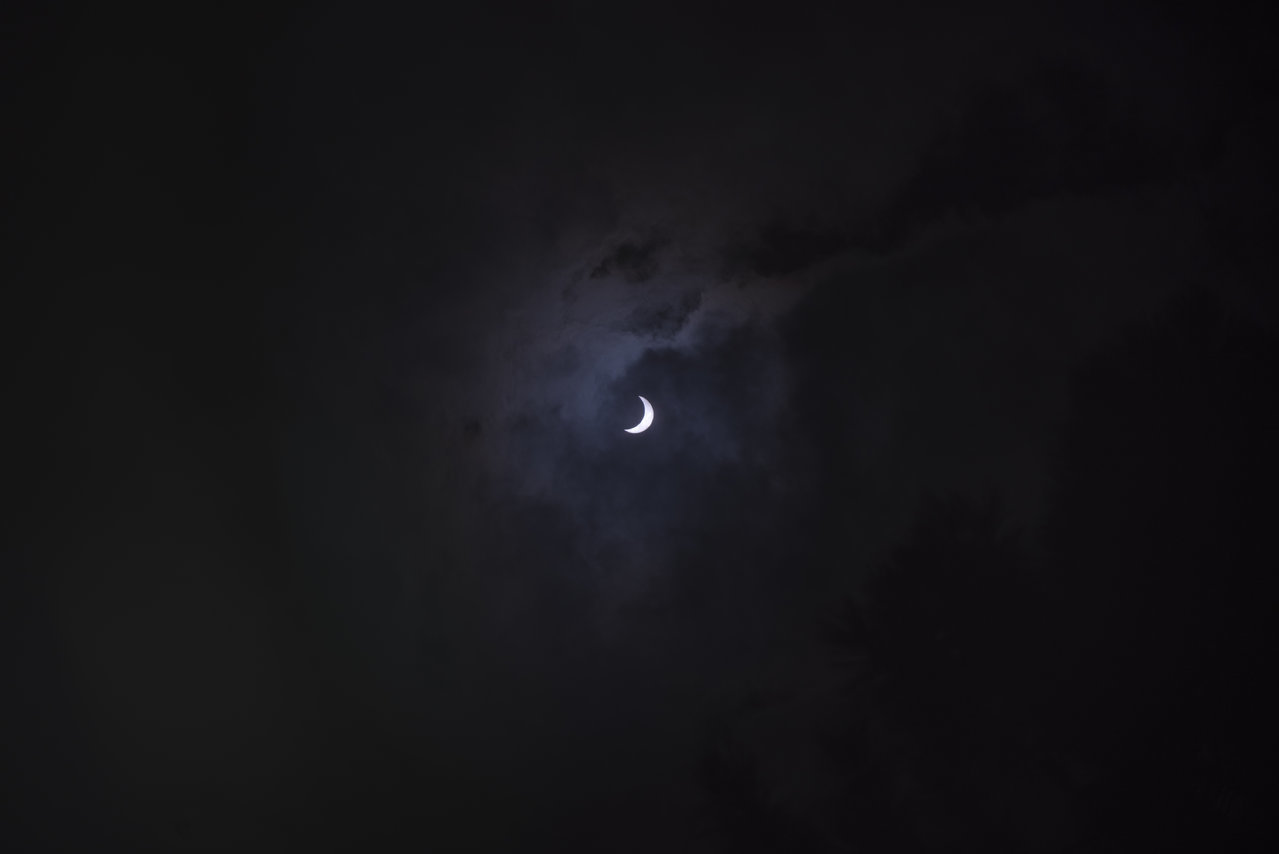 DSC_6567.jpg