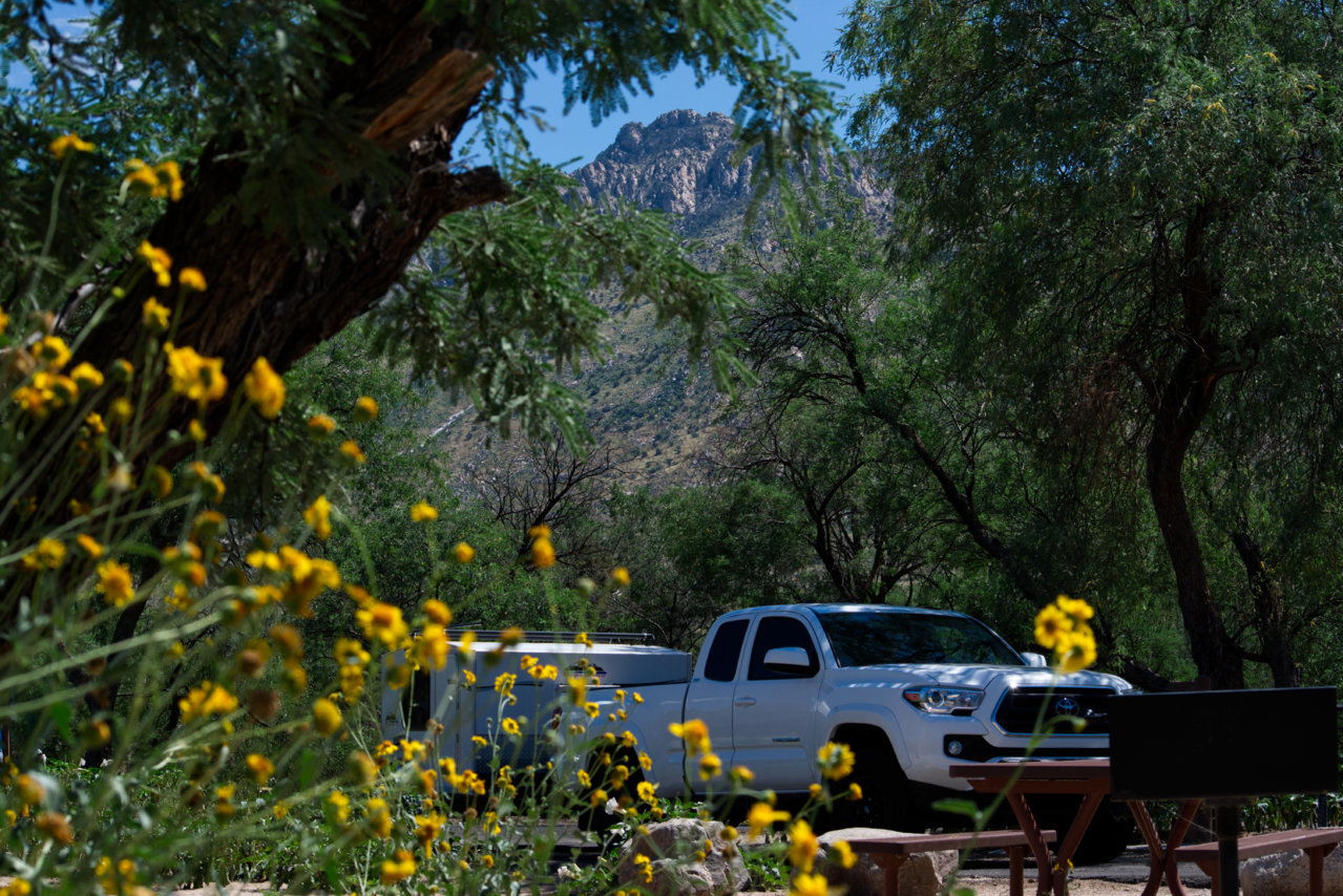 DSC_6858.jpg