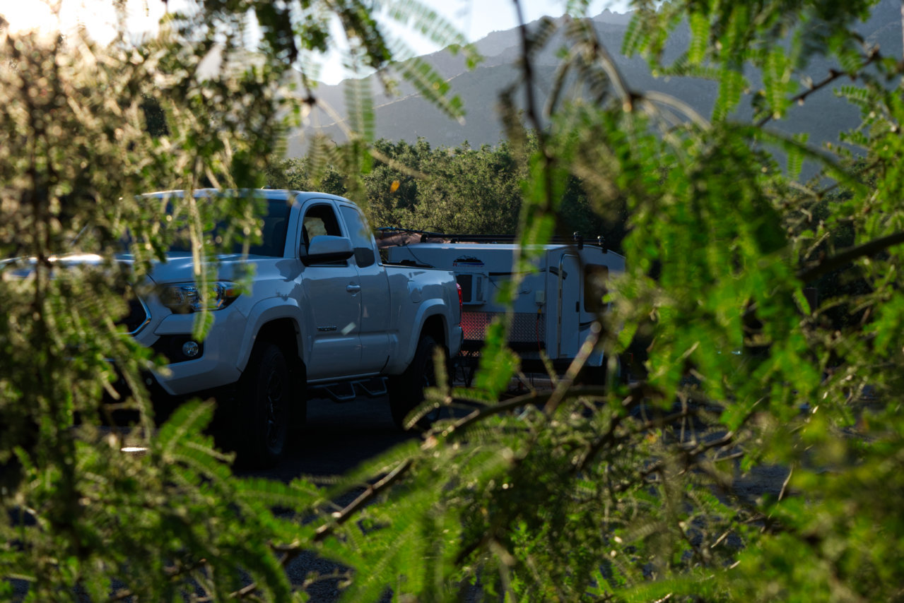 DSC_6977.jpg