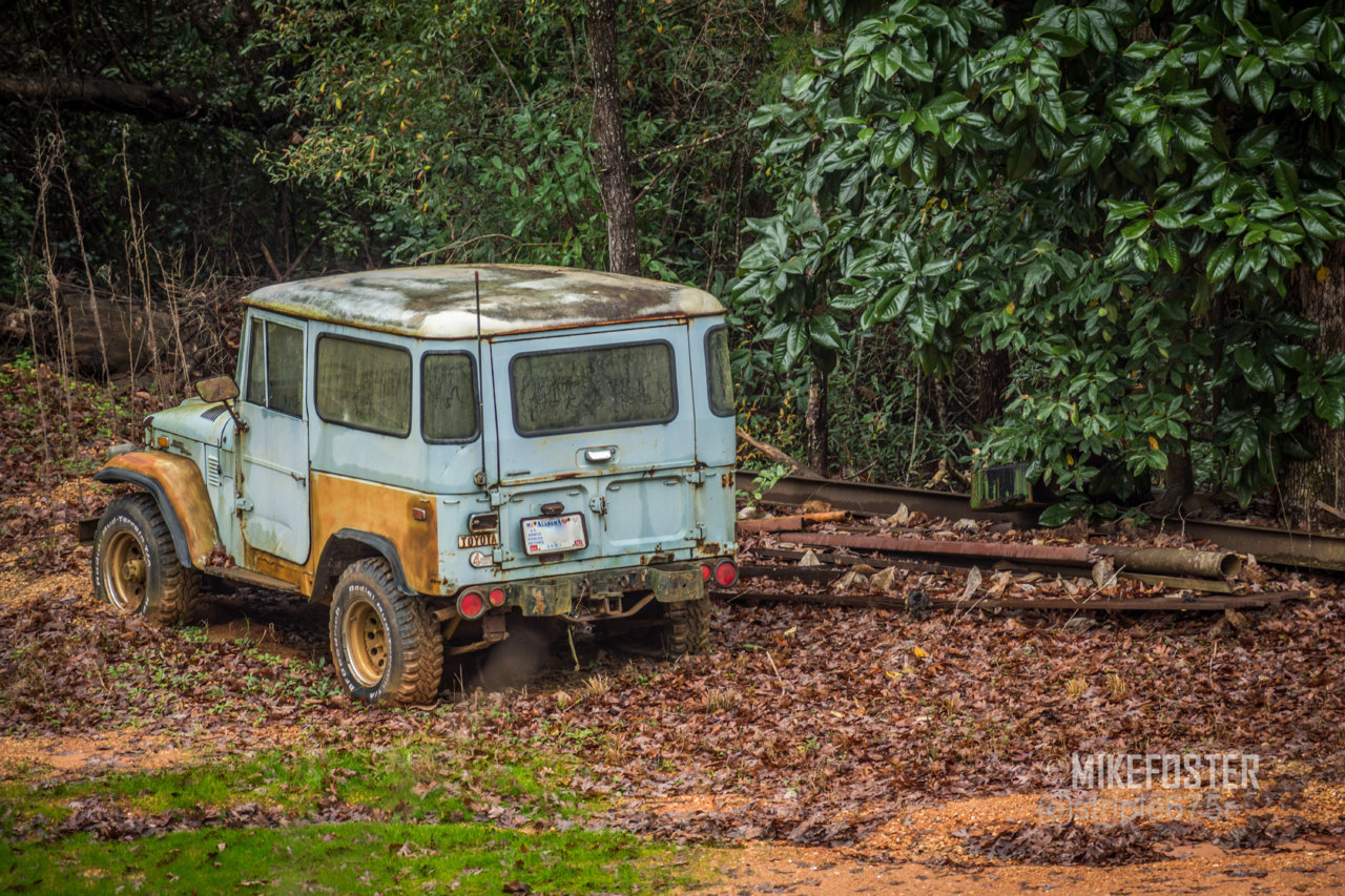 DSC_7104.jpg