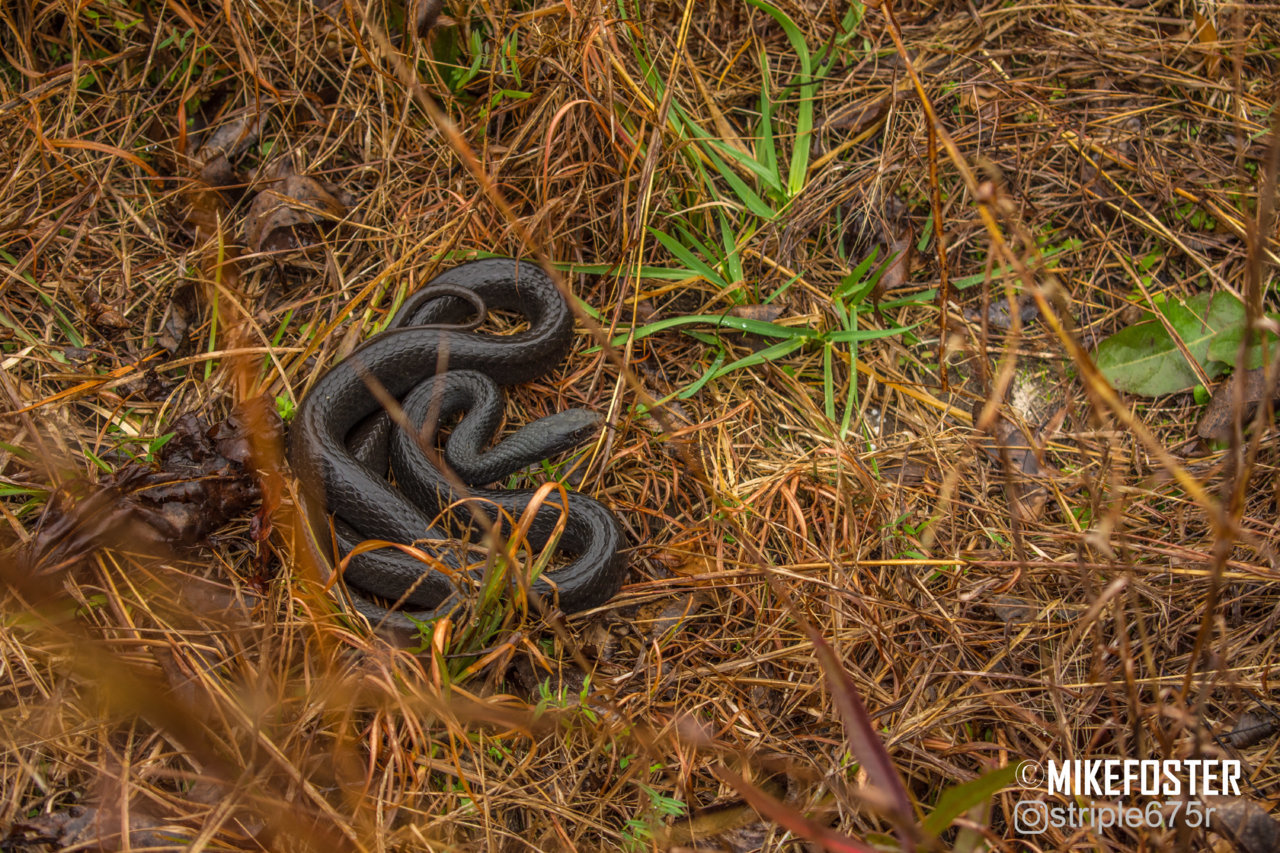 DSC_7131.jpg