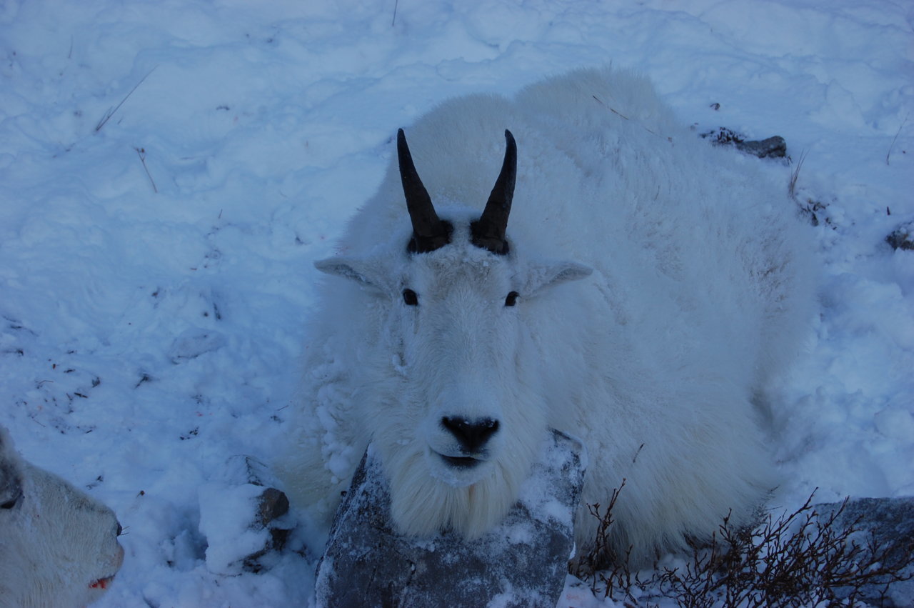 DSC_7184.jpg