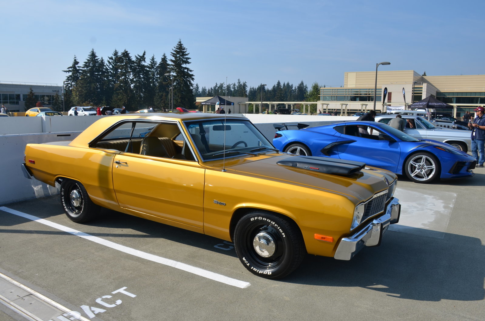DSC_7256.jpg