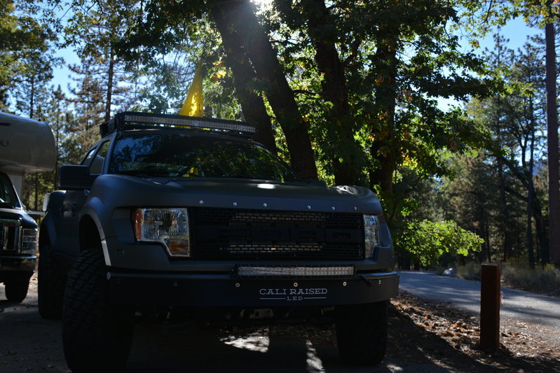 DSC_7385.jpg