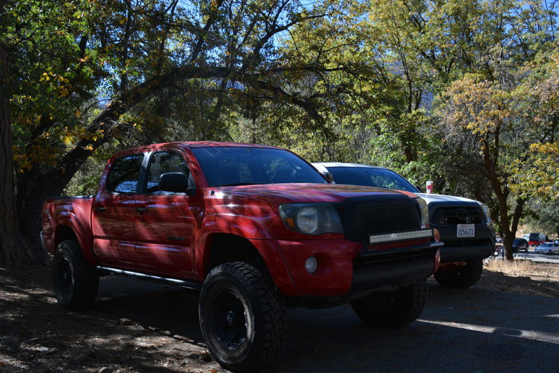 DSC_7392.jpg