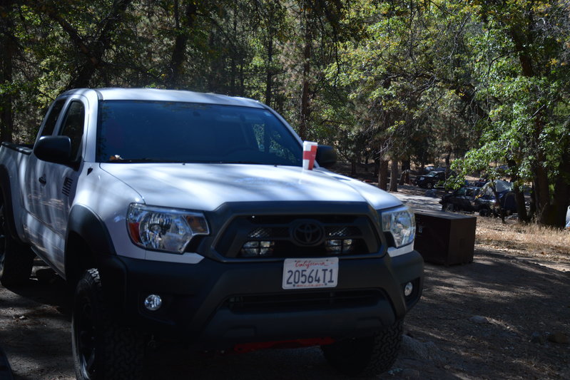 DSC_7393.jpg