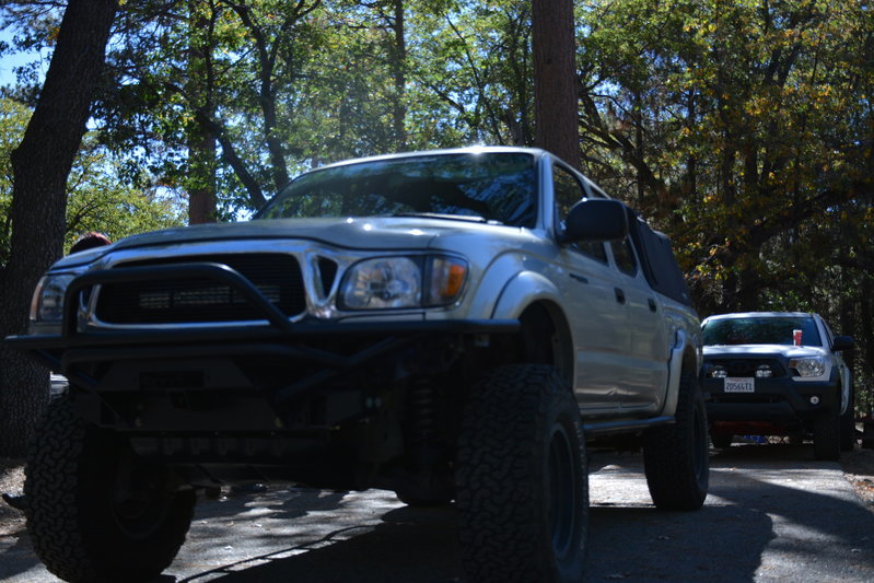 DSC_7395.jpg