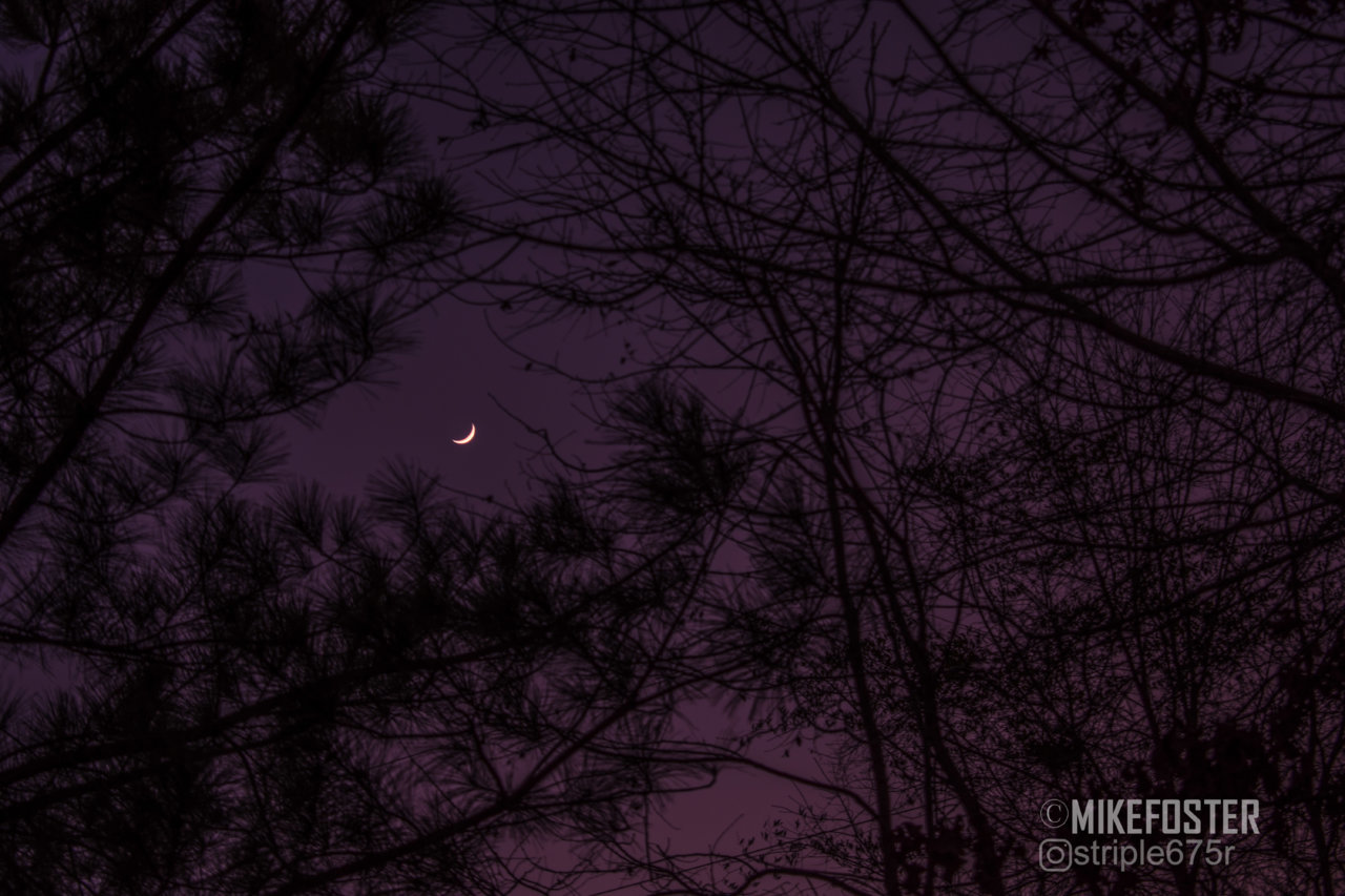 DSC_7441.jpg
