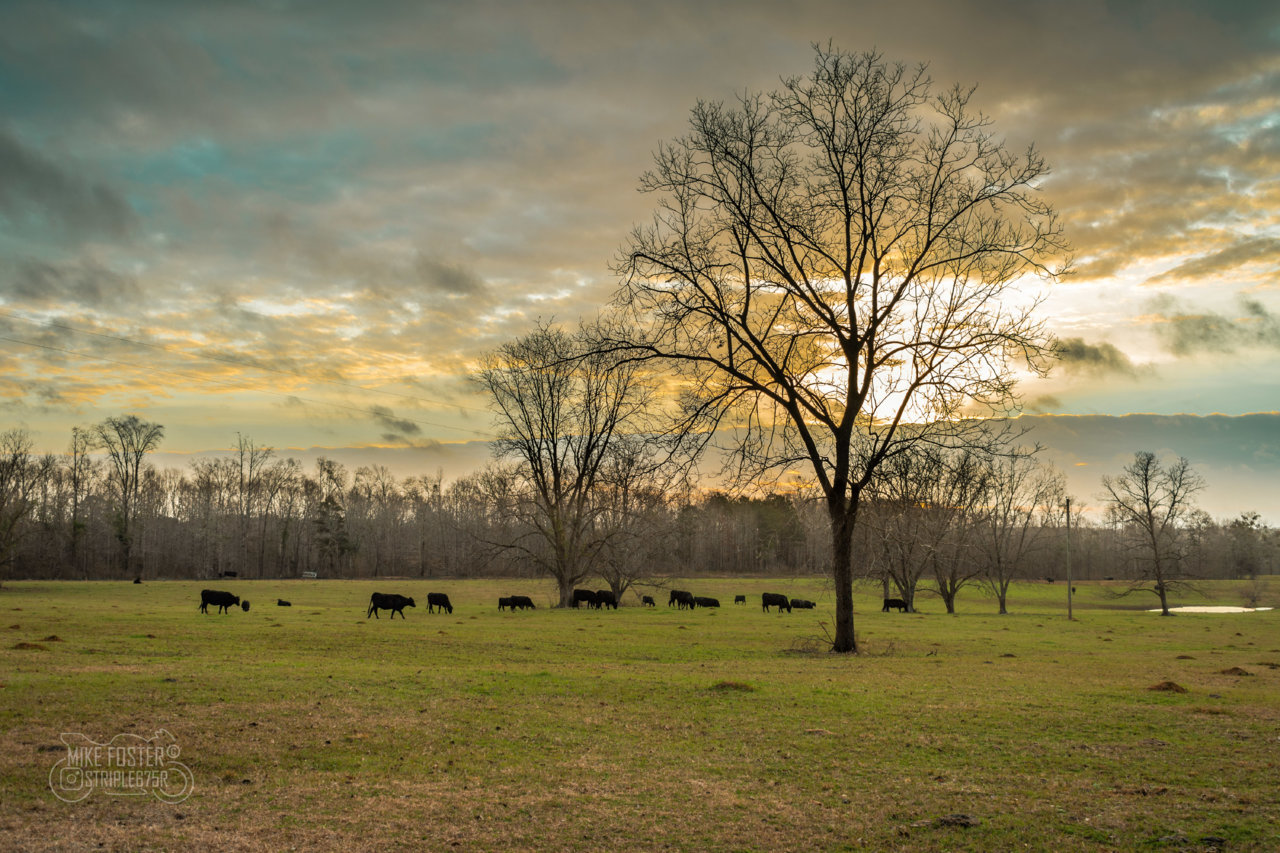 DSC_7743-2.jpg