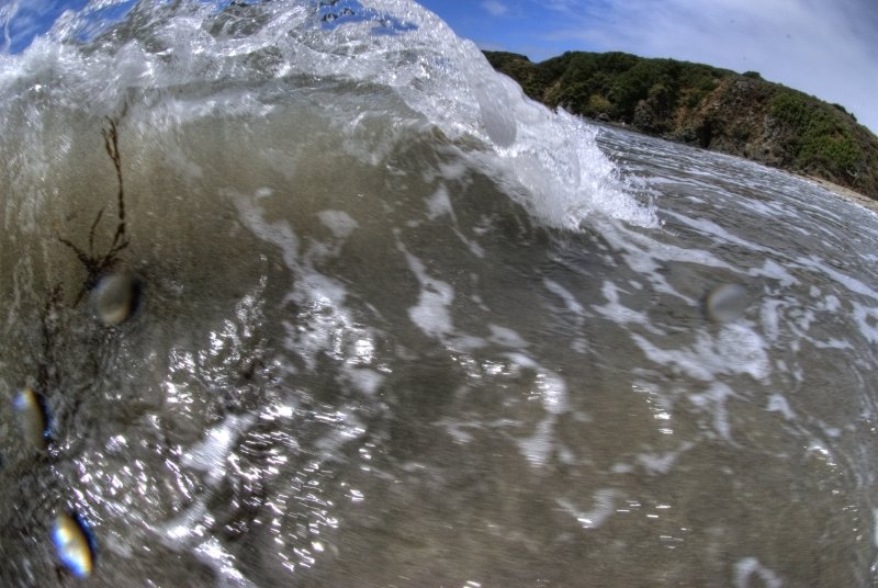 DSC_7852_Enhancer_539b0c222d3dcf2710f1ad20669fa930774a8bd4.jpg