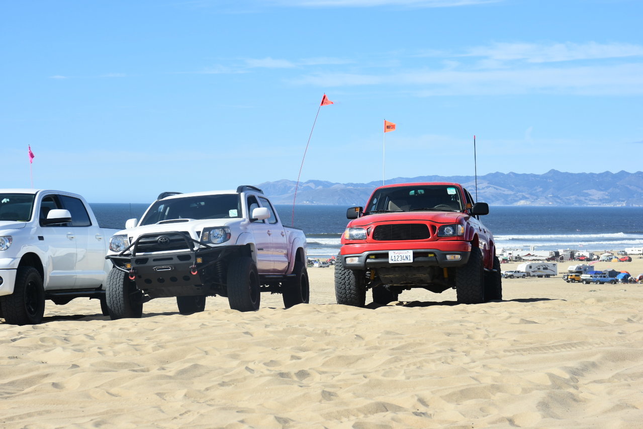 DSC_7905.jpg