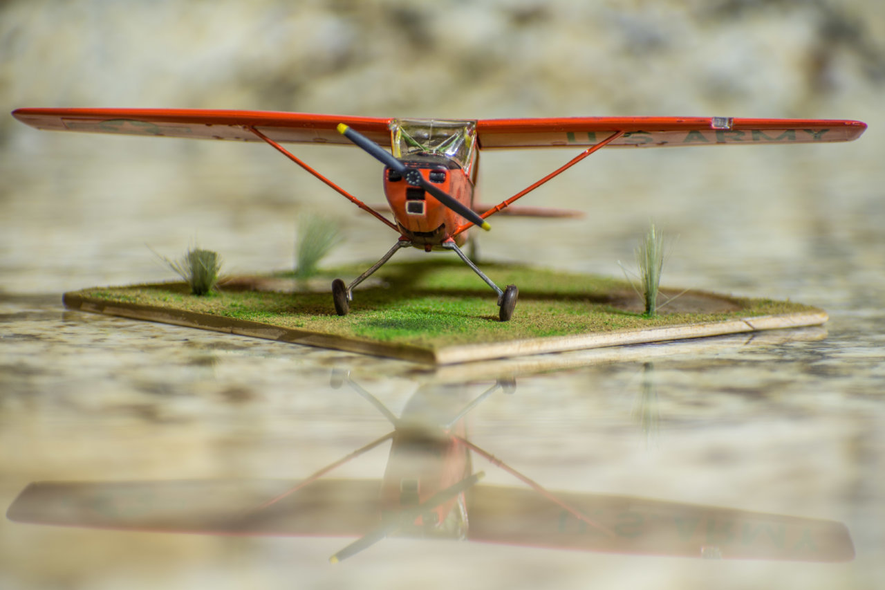 DSC_8091.jpg