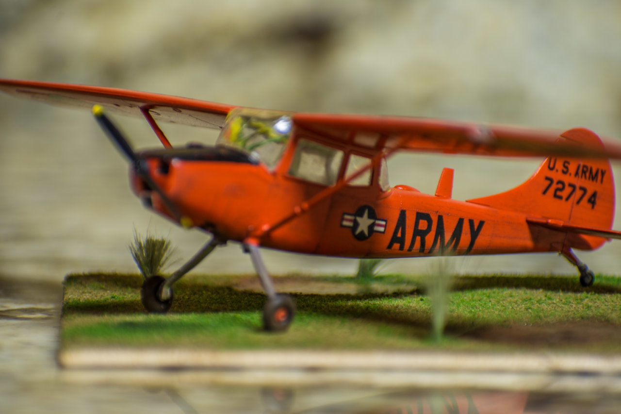 DSC_8093.jpg