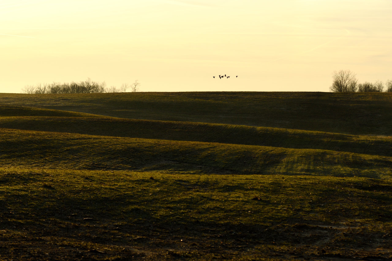 DSC_9110_edit.jpg